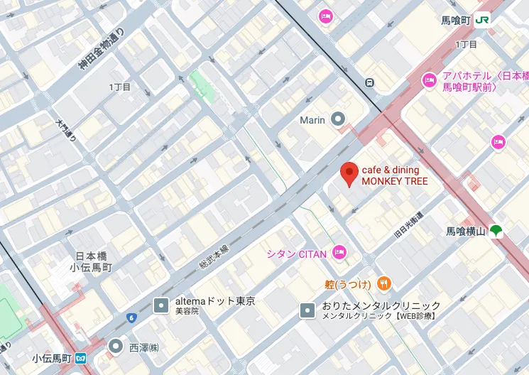 Google map