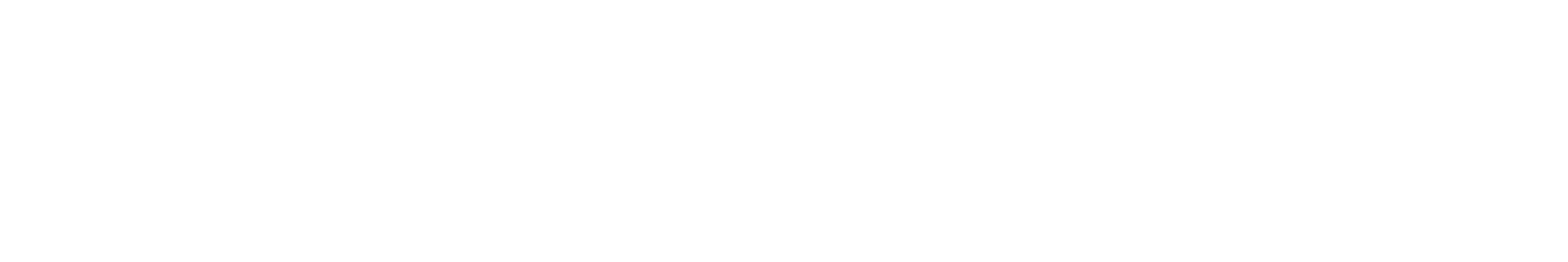 lunch